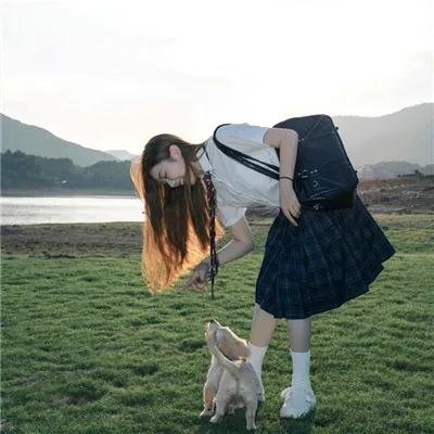 认识狗狗